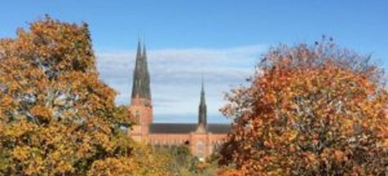 uppsala-300×168.v1